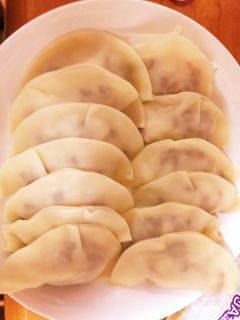 【節約】新玉ねぎと納豆餃子-レシピのメイン写真