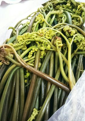 ワラビのあく抜き-レシピのメイン写真