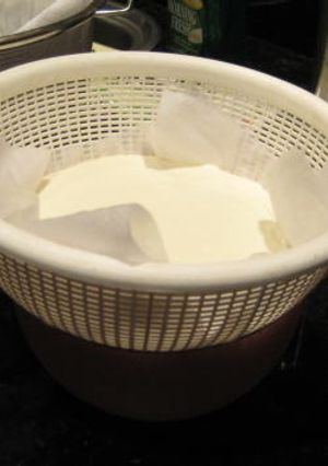 水切りヨーグルト-レシピのメイン写真