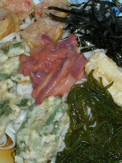 何でも乗せちゃえ!冷やしうどん-レシピのメイン写真