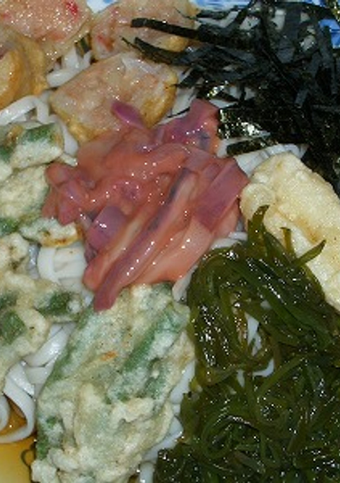 何でも乗せちゃえ！冷やしうどん-レシピのメイン写真