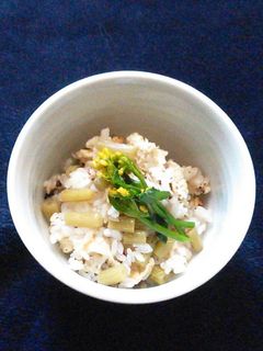 蕗の炊き込みご飯-レシピのメイン写真