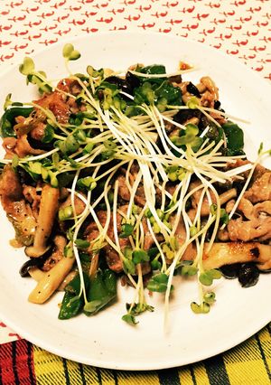 豚肉とキノコのオイスター炒め-レシピのメイン写真
