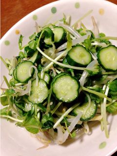 豆苗ともやしたちのサッパリ和え-レシピのメイン写真