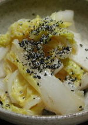 大根と白菜のゴマ風味サラダ-レシピのメイン写真