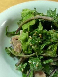 レタスと水菜の自家製胡麻ドレサラダ-レシピのメイン写真