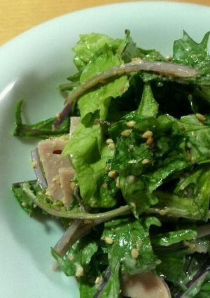 レタスと水菜の自家製胡麻ドレサラダ-レシピのメイン写真