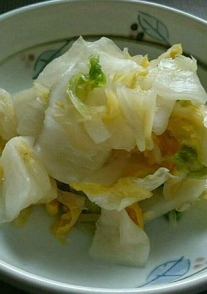 白菜 塩漬け-レシピのメイン写真