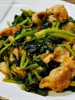 春の一品♪ 豚肉とかき菜のピリ辛味噌炒め-レシピのメイン写真