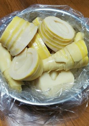 筍の保存方法☆大量保存もOK！-レシピのメイン写真