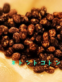 カリカリ♪ココア豆-レシピのメイン写真