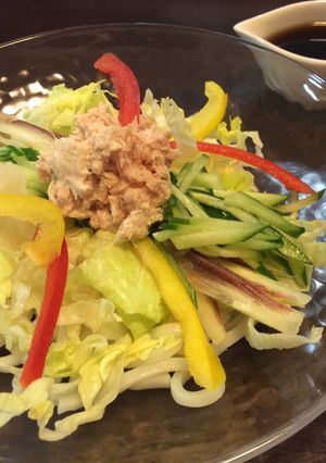 暑い夏にサラダうどん-レシピのメイン写真
