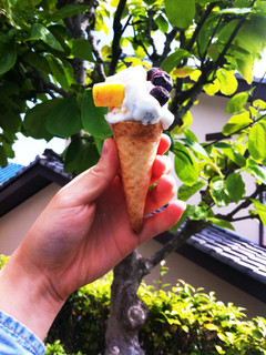 春巻きの皮でコーン!簡単ヨーグルトアイス-レシピのメイン写真