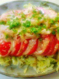 トマトとガリのさっぱりサラダ-レシピのメイン写真