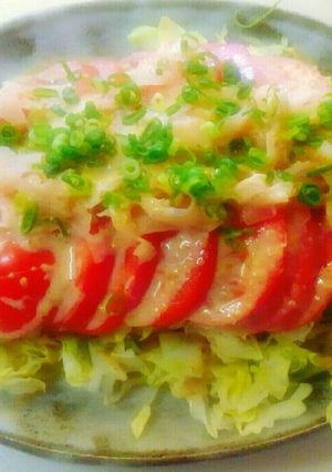 トマトとガリのさっぱりサラダ-レシピのメイン写真