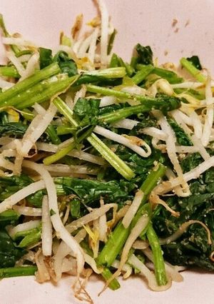 ほうれん草ともやしのごま和え-レシピのメイン写真