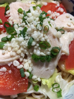 サラダチキンと野菜のぶっかけうどん-レシピのメイン写真