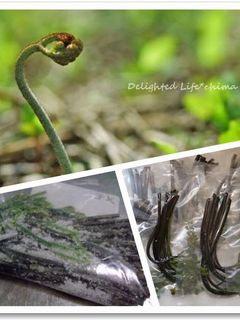 ワラビのアク抜きと塩蔵保存-レシピのメイン写真