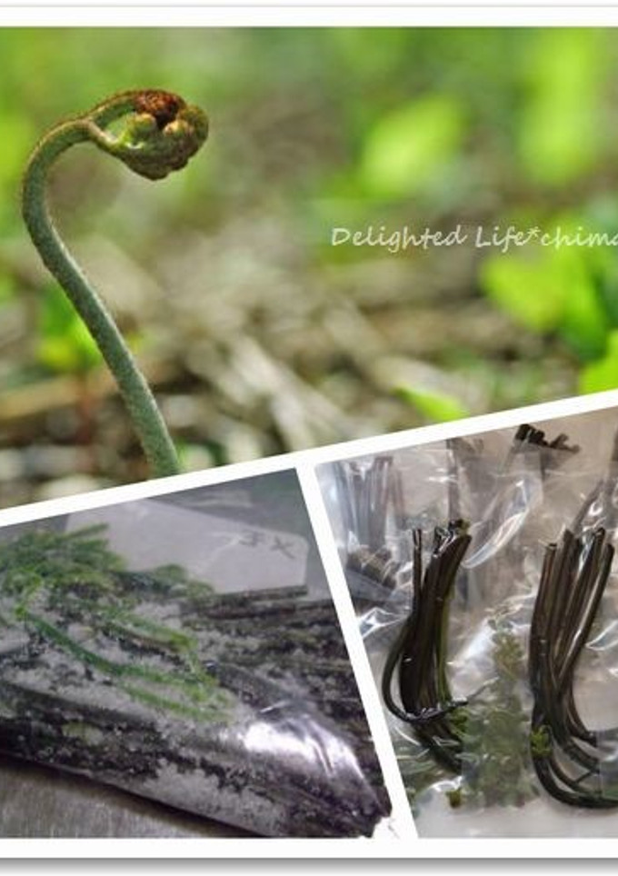 ワラビのアク抜きと塩蔵保存-レシピのメイン写真