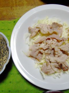 豚しゃぶしゃぶと胡麻タレ-レシピのメイン写真