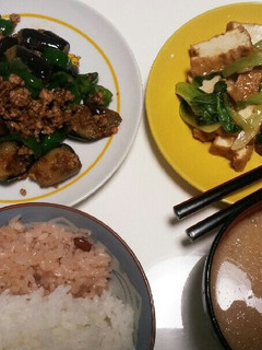 茄子ピーマンの麻婆肉味噌炒め-レシピのメイン写真