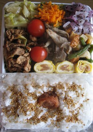 愛情弁当　6/5-レシピのメイン写真