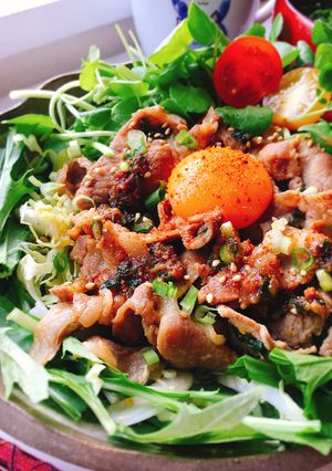 おうちで低糖質「すた丼」風-レシピのメイン写真