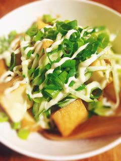 月末の味方!厚揚げステーキ丼!-レシピのメイン写真