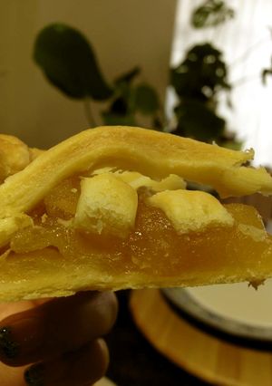 毎日でも食べたい♪アップルパイ☆-レシピのメイン写真