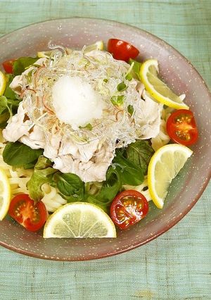 冷やしプチプチおろしうどん-レシピのメイン写真