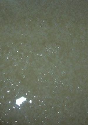 炊飯器で塩麹-レシピのメイン写真
