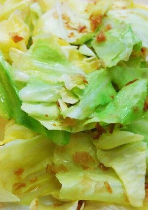 お弁当の野菜は　春キャベツのチン！♪-レシピのメイン写真