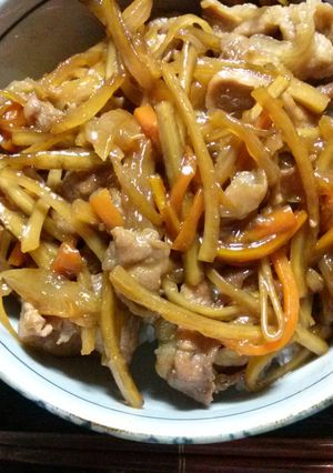 豚ごぼう丼☆-レシピのメイン写真