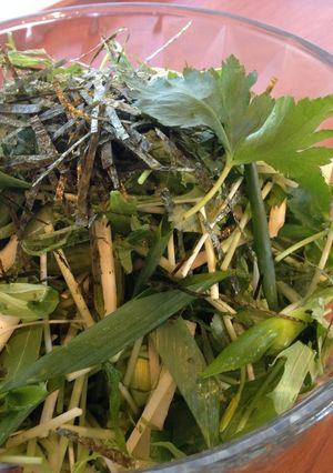 脇役なんて言わせない！薬味集合サラダ-レシピのメイン写真