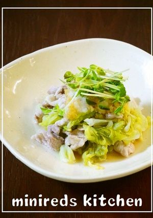 豚キャベツ-レシピのメイン写真