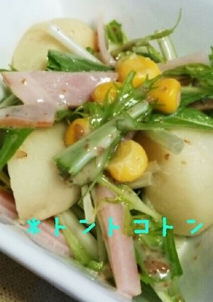 水菜と里芋のサラダ☆-レシピのメイン写真