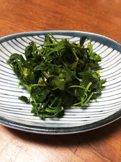 うこぎのナムル風おひたし☆-レシピのメイン写真