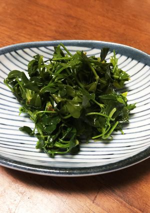 うこぎのナムル風おひたし☆-レシピのメイン写真