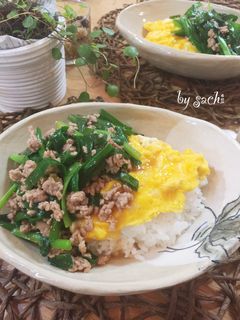 ニラ玉ひき肉あんかけごはん♪-レシピのメイン写真