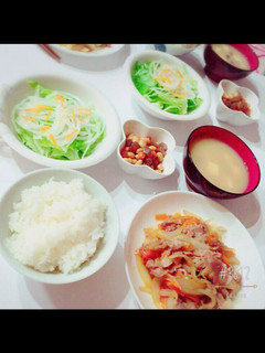 焼き肉のたれで豚肉炒め-レシピのメイン写真