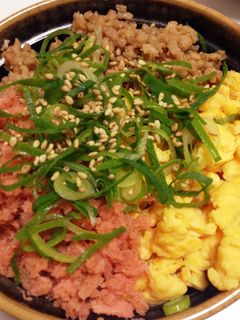 簡単!そぼろご飯de三色丼☆-レシピのメイン写真