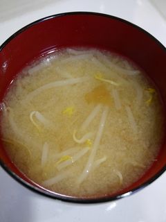 ダイエット!もやしの味噌汁(梅風味)-レシピのメイン写真