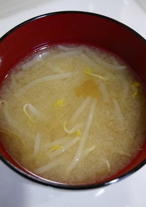 ダイエット！もやしの味噌汁(梅風味)-レシピのメイン写真