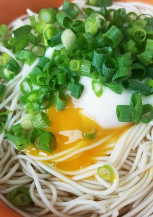 ランチに♡簡単冷やしかけそうめん-レシピのメイン写真