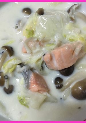 ♡白菜&鮭&しめじのクリーム煮-レシピのメイン写真