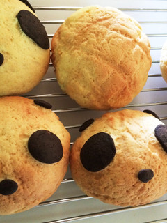 パンダメロンパン-レシピのメイン写真