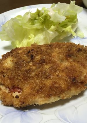 おからパウダー★ヘルシーささみカツ-レシピのメイン写真