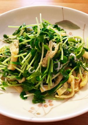 超簡単1品☆豆苗の麺つゆ浸し-レシピのメイン写真