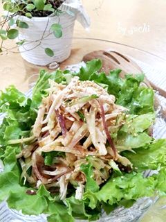 蒸し鶏の梅醤油サラダ-レシピのメイン写真