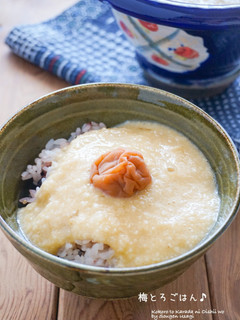 和味☆梅とろごはん-レシピのメイン写真